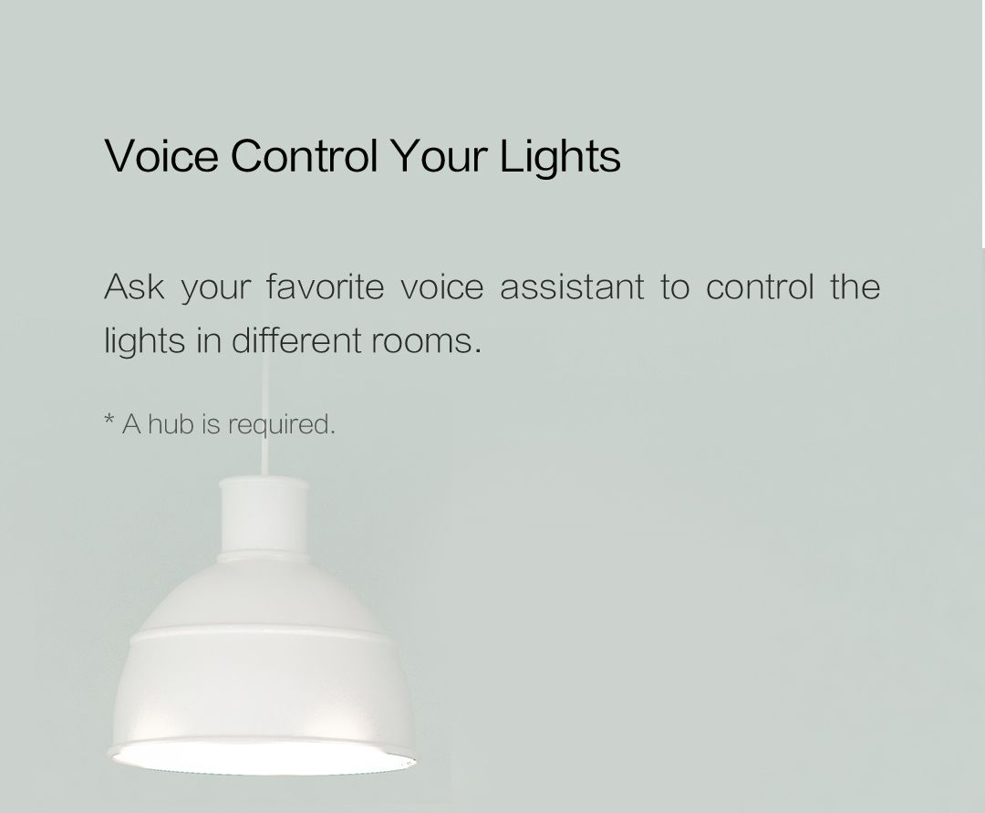 Ask your favorite voice assistant to control the lights in different rooms rhrough our smart switch
